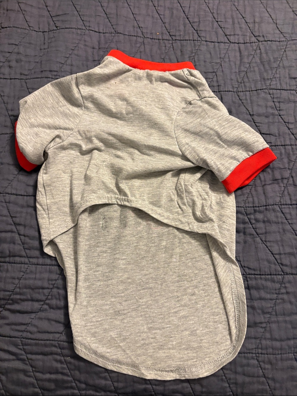 Merry and Bright Gray Dog Shirt with Red Trim - Picture 2 of 3
